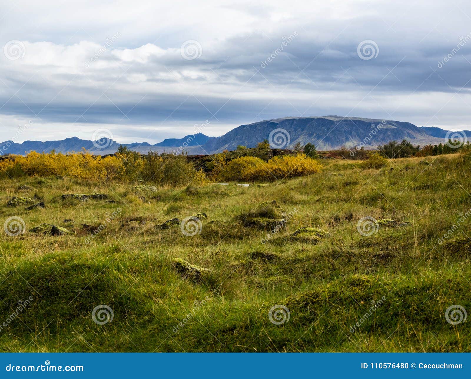 looking across the mid-atlantic rift in southwest iceland