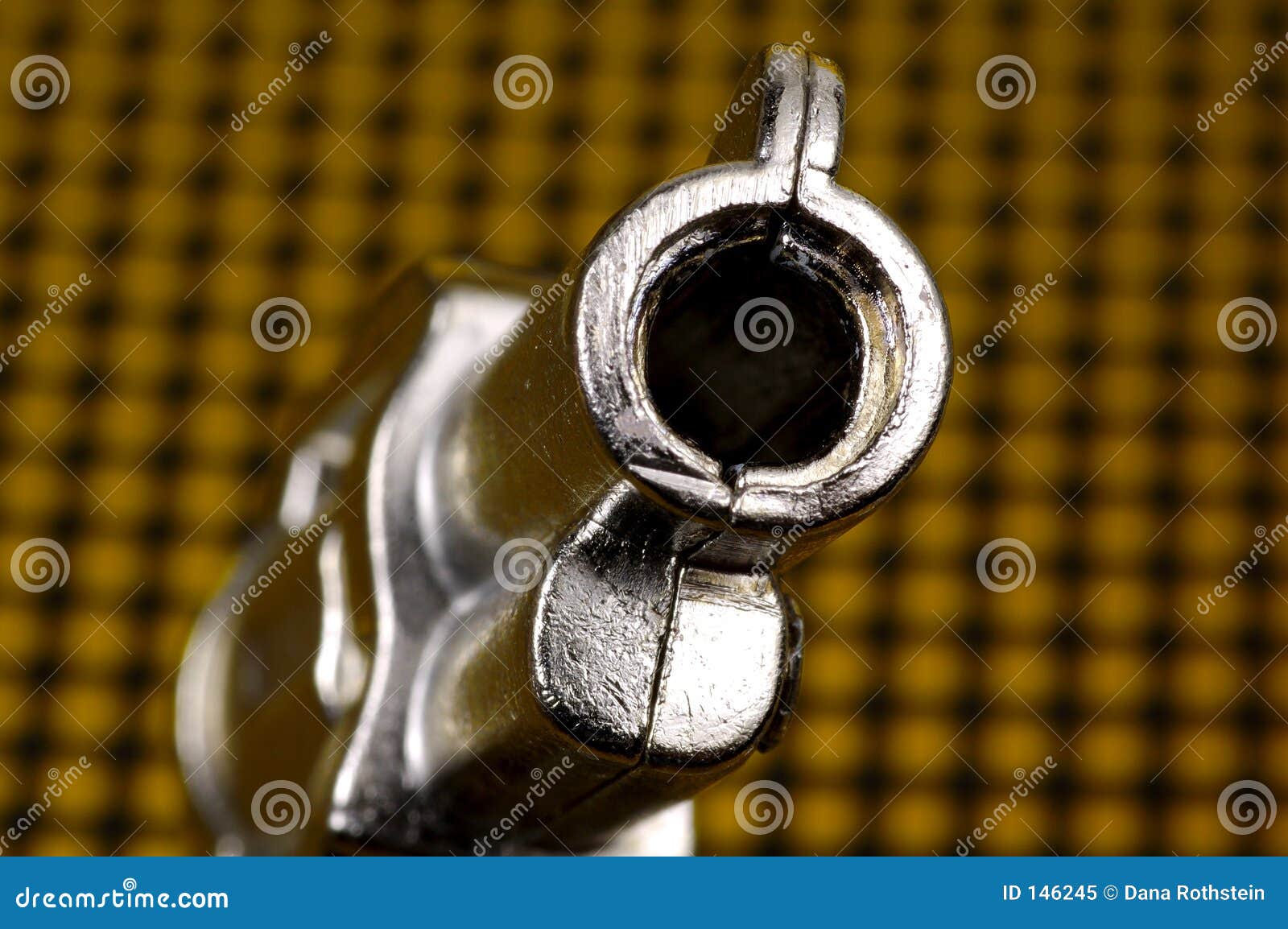 Looking Down The Barrel Picture. Image 146245