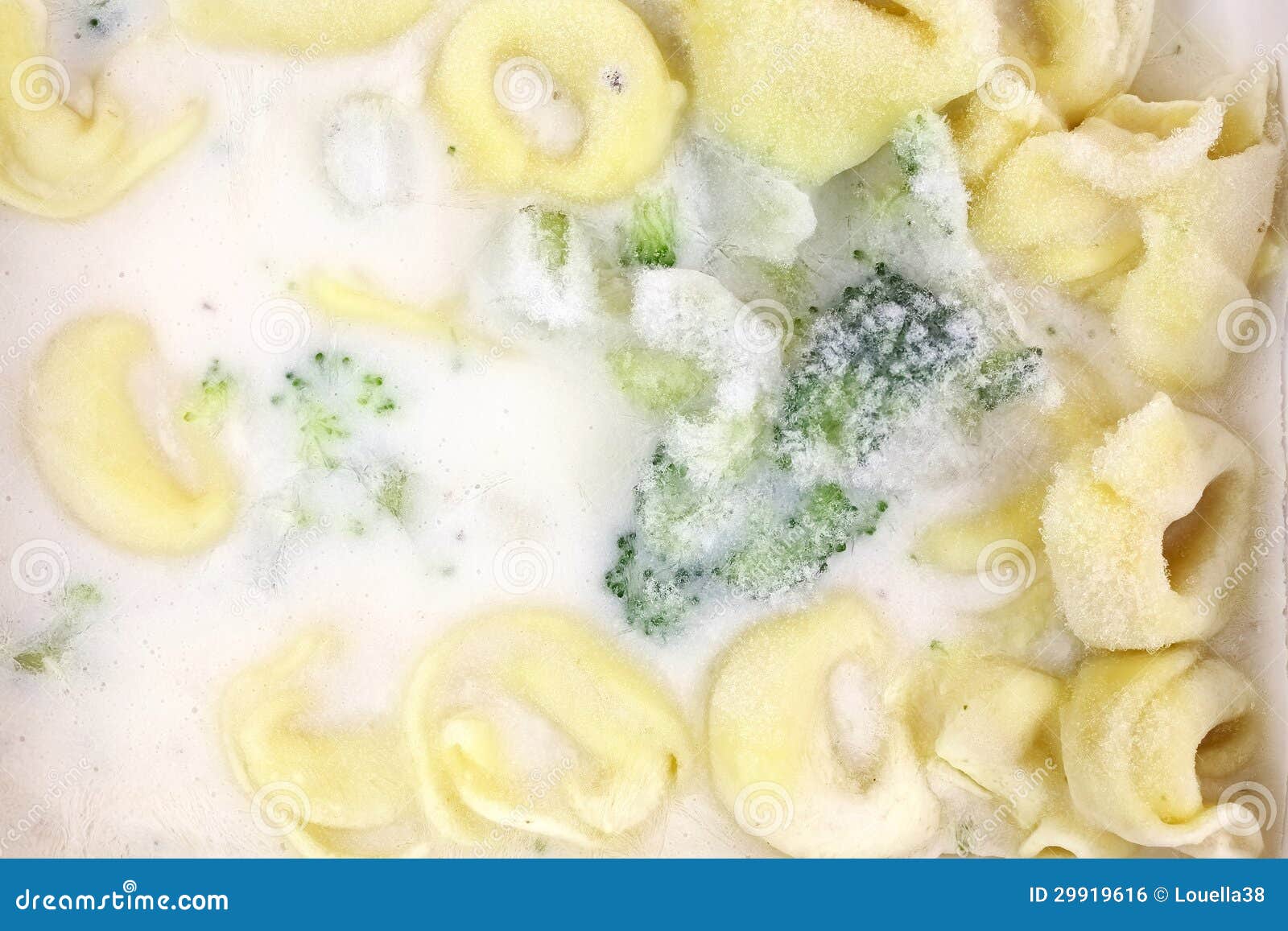 Tortellini Alfredo Frozen stock photo. Image of close 29919616