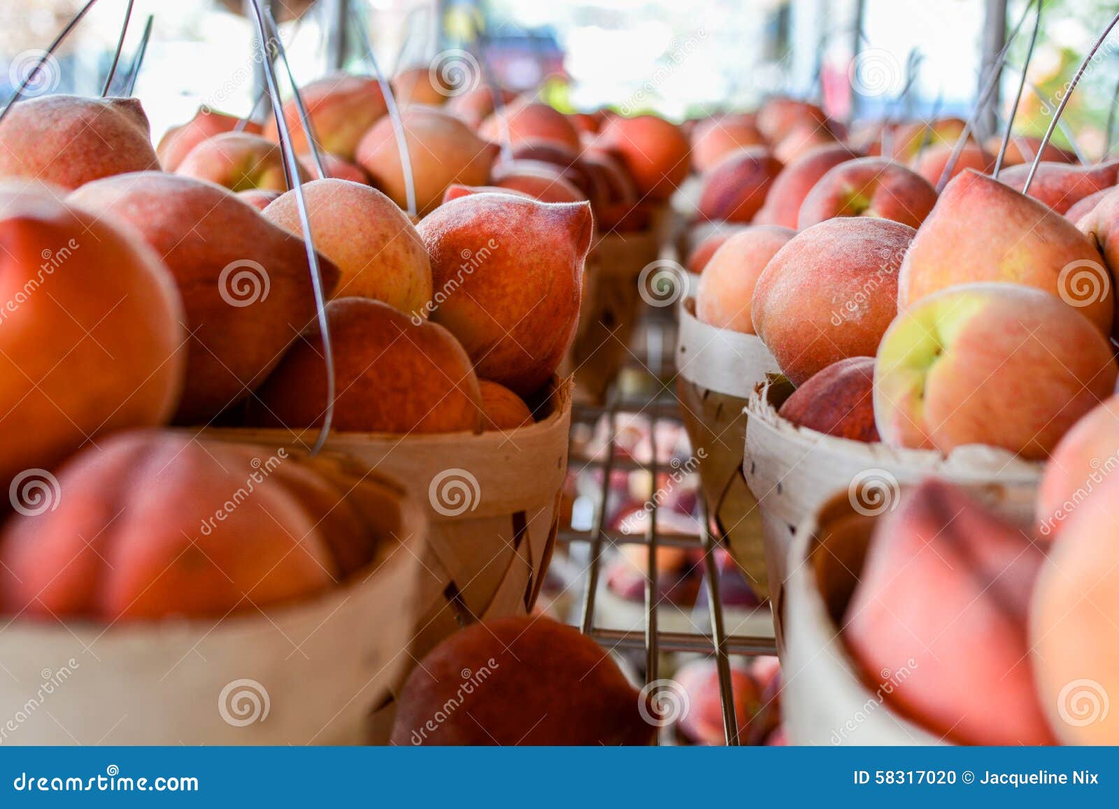 Looking Down Rows of Peach Baskets Stock Photo Image of chilton