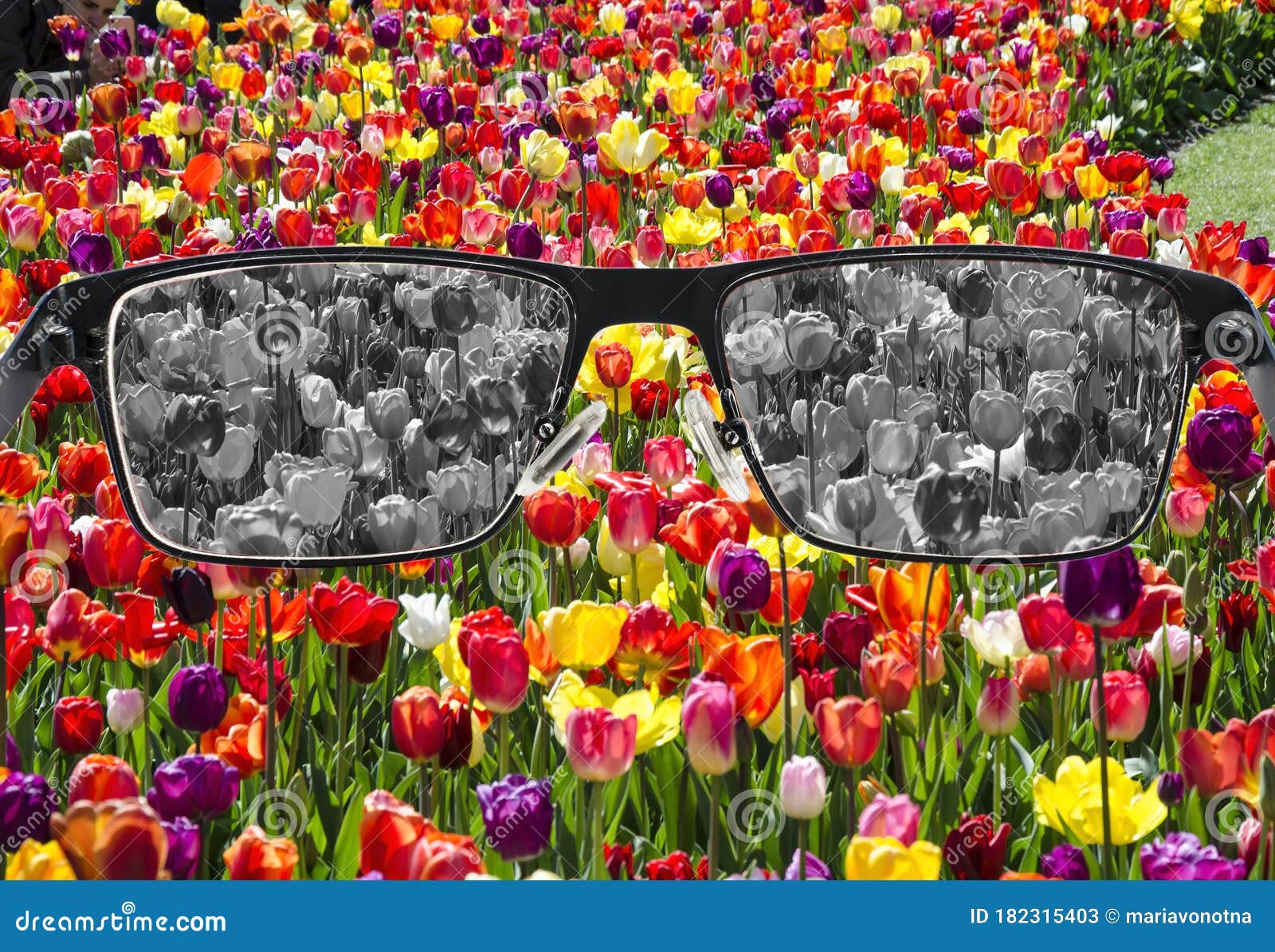 looking through glasses to bleach tulips field. color blindness. world perception during depression. medical condition. health and