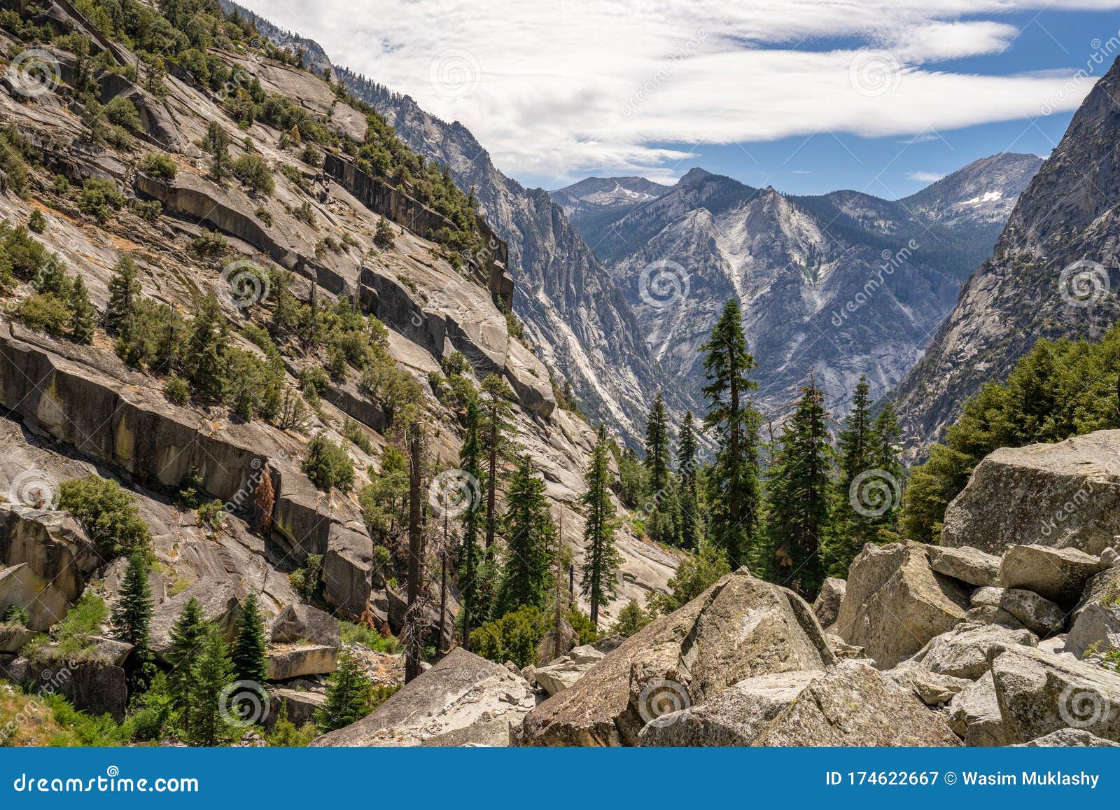 are dogs allowed in kings canyon national park