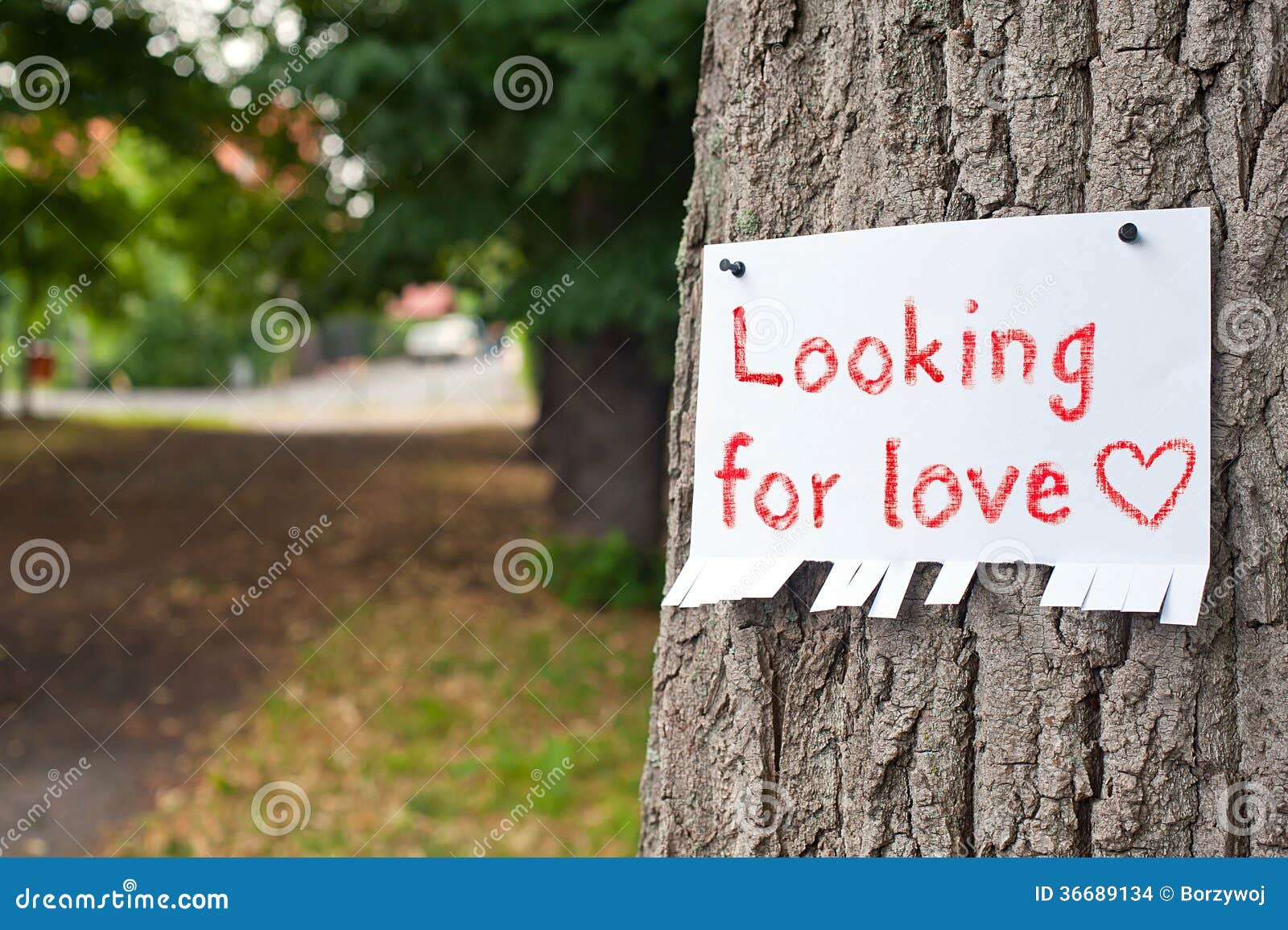 Looking for love stock photo. Image of announcement, sign 36689134