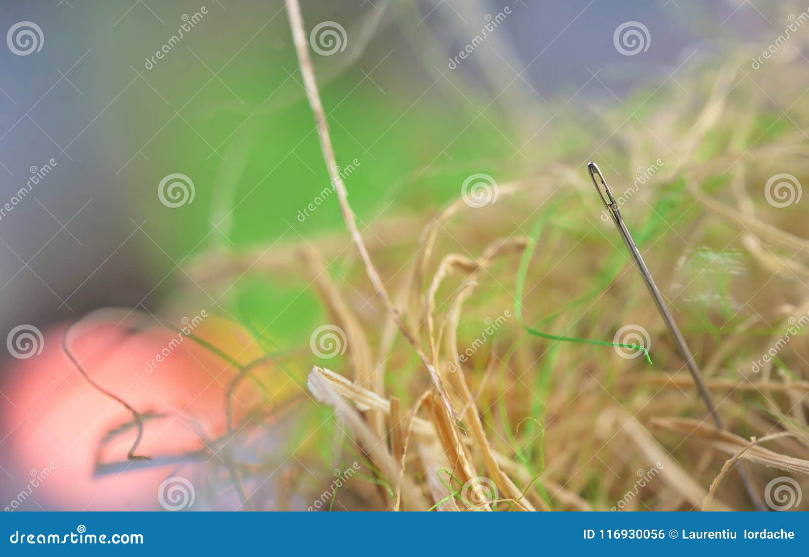 Needle in a Haystack by Ernesto Mallo Needle in a Haystack by Ernesto Mallo