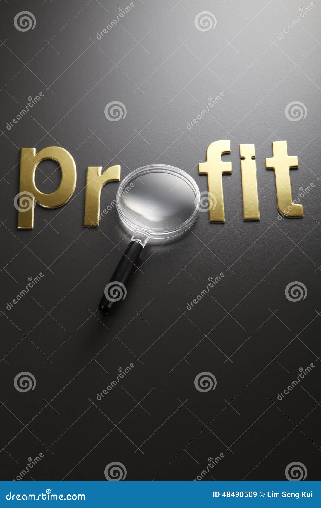 Looking for profit stock image. Image of marketing, grow 48490509
