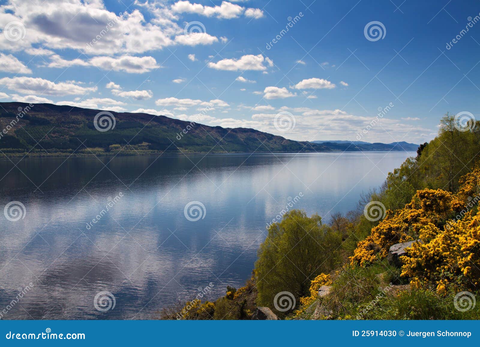 Lookout over Loch Ness stock photo. Image of mirrored - 25914030