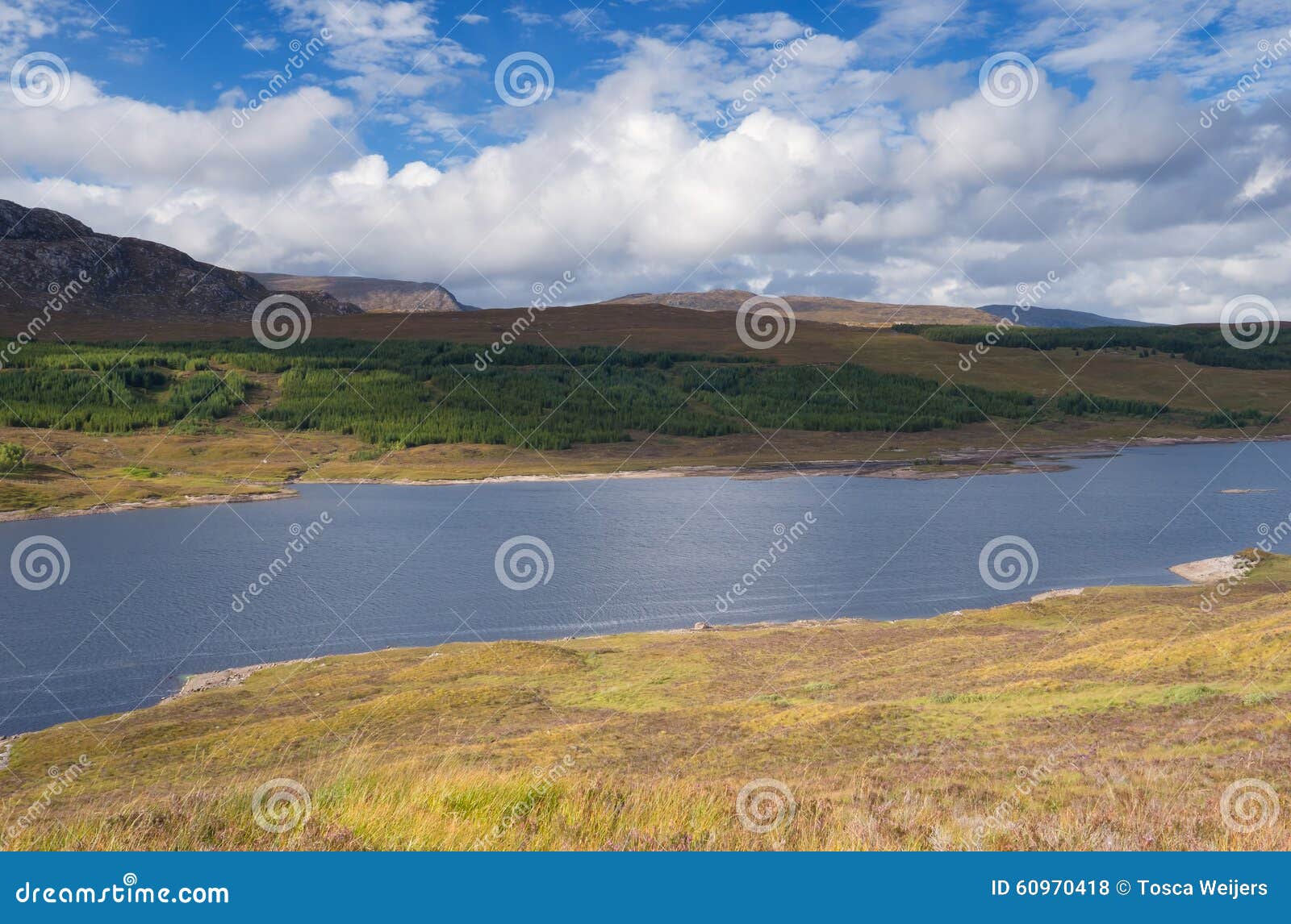Lookout Over Loch Ness, Scotland Stock Photo - Image of nessie, water ...