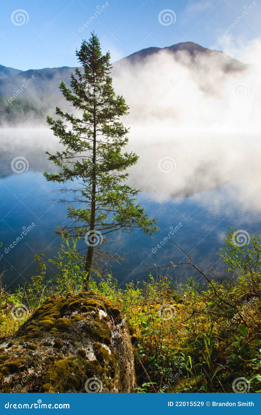 Loon Lake BC stock image. Image of fresh, scene, british 22015529