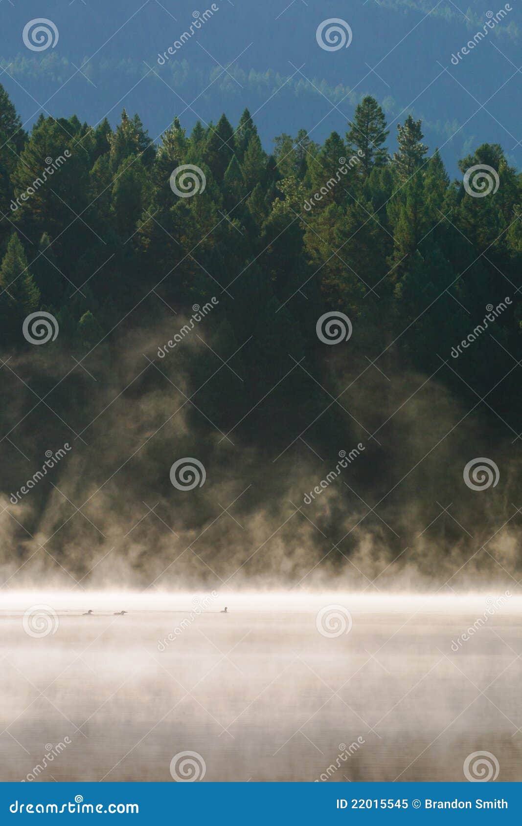 Loon Lake BC stock image. Image of environment, morning 22015545