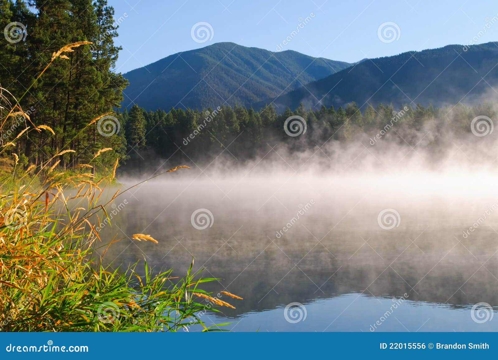 Loon Lake BC stock photo. Image of beautiful, canada 22015556