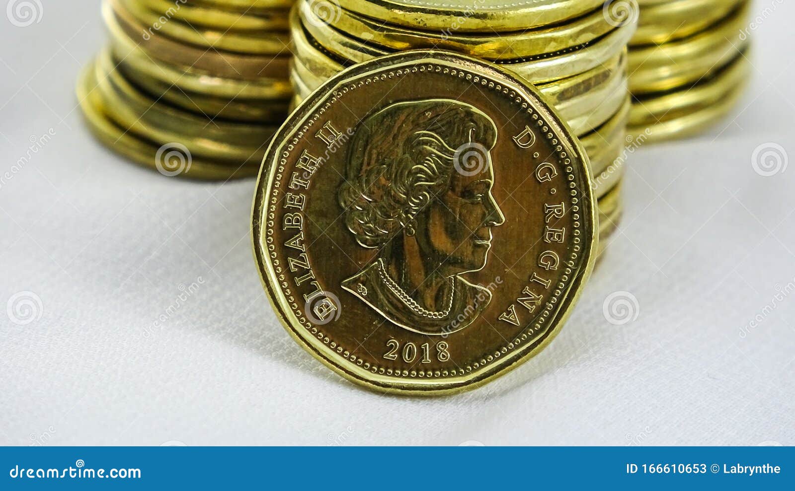 加拿大一加元硬币，或“卢尼”，在白色背景下编辑类库存照片. 图片包括有查出, 繁荣, 正面, 贸易- 166610653