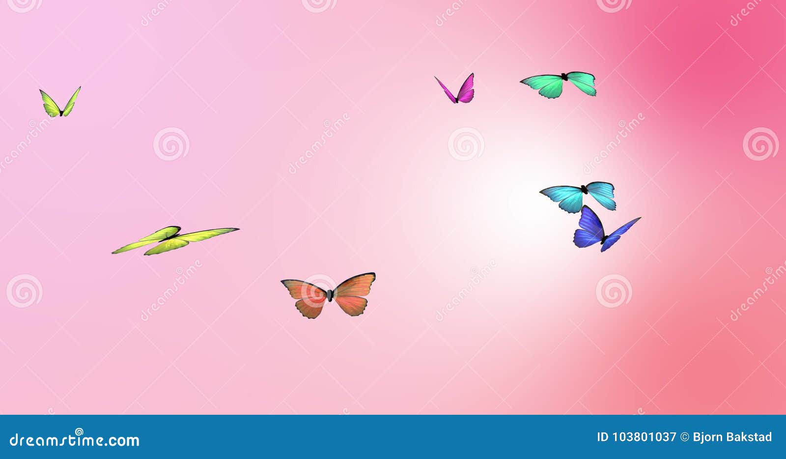 Looping Butterfly Animation on a Pink Background.. Stock Video - Video of loopable, insects: 103801037 Looping Butterfly Animation on a Pink Background.. Stock Video - Video of loopable, insects: 103801037