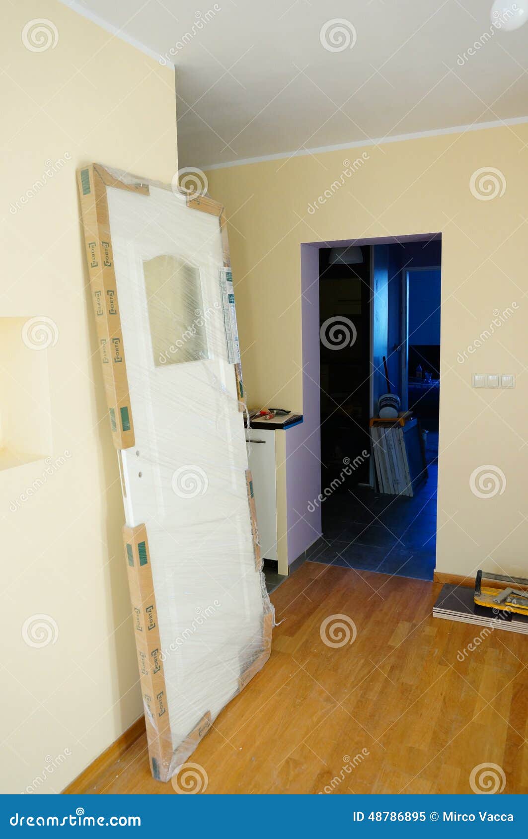 Loose door editorial image. Image of wall, loose, door 48786895
