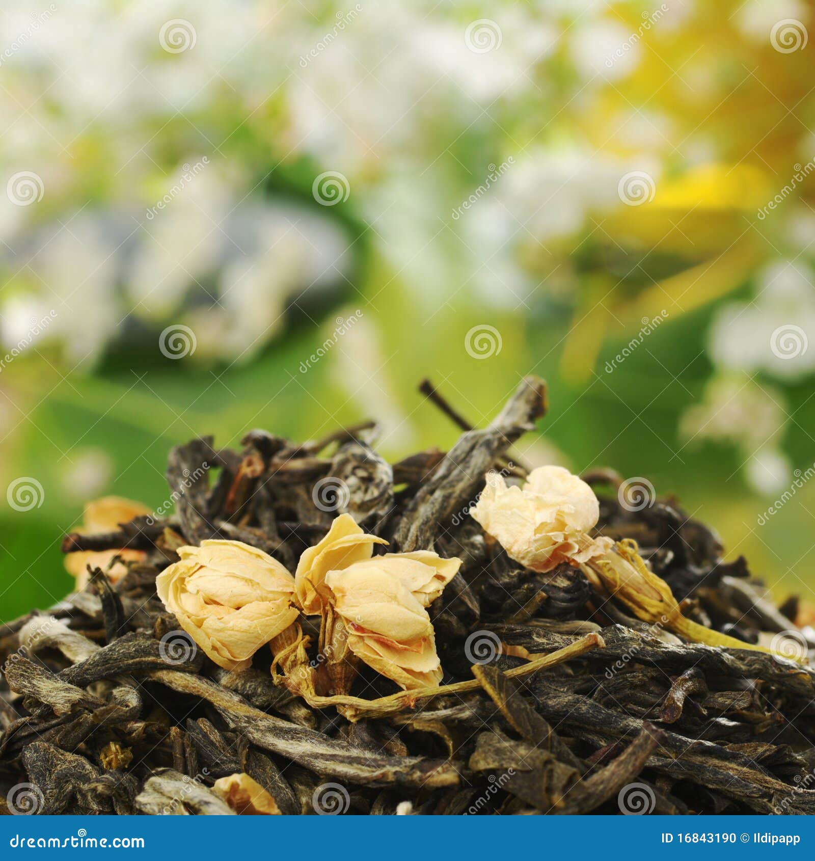 Loose Jasmine Tea stock photo. Image of jasminum, bloom 16843190