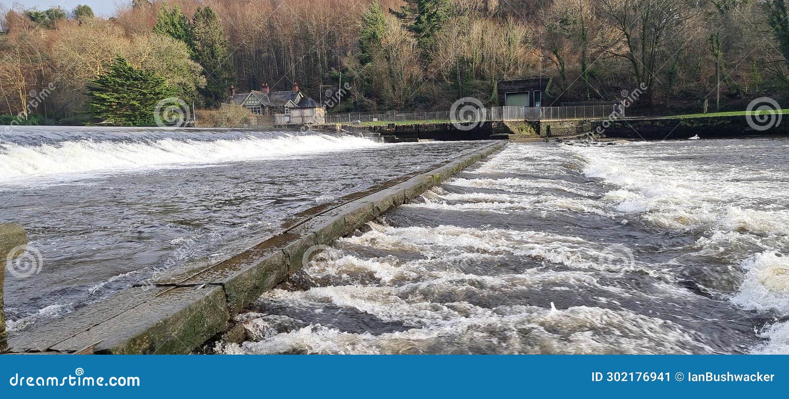 lopwell dam , maristow estate and the river tavy devon uk