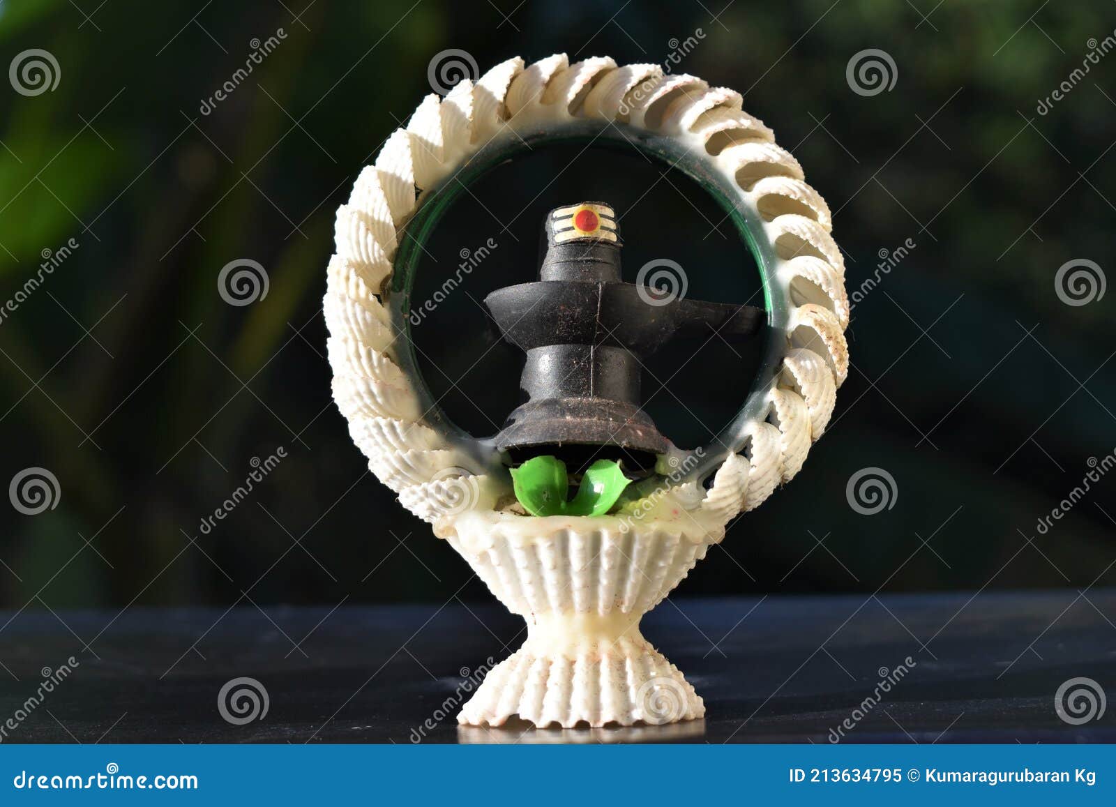 Lord Shiva Lingam. Shiva Linga Decorated with Flowers and Frame ...