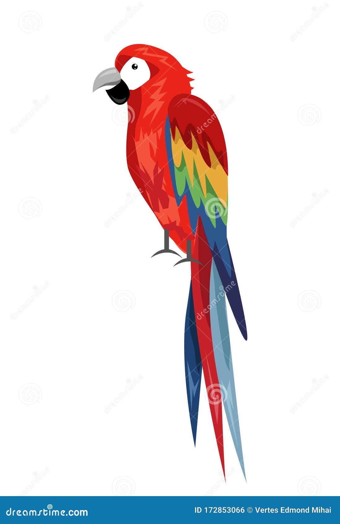 Loro De Colores, Diseño De Aves De Dibujos Animados Ilustración del Vector  - Ilustración de hermoso, historieta: 172853066