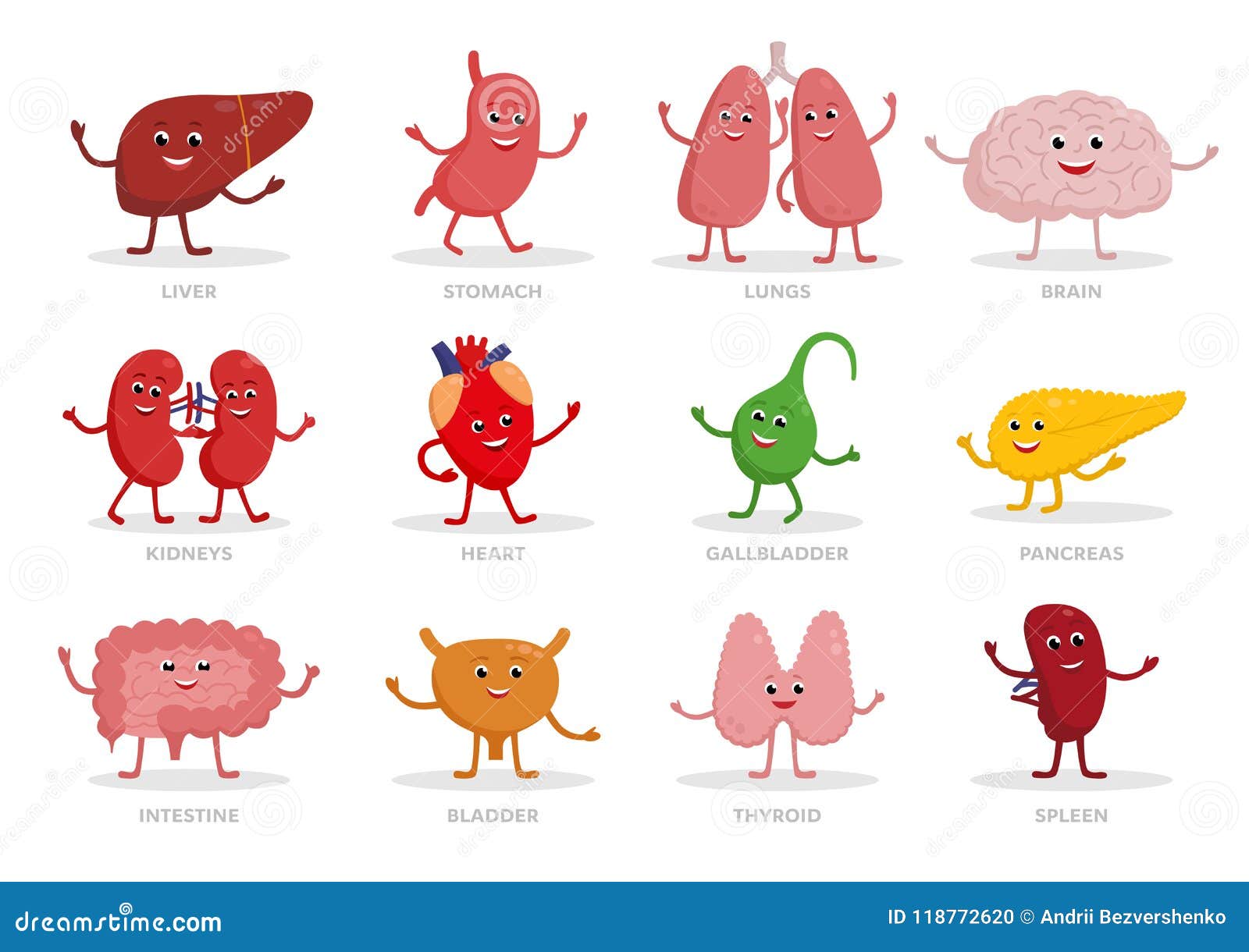 Los órganos Humanos Lindos Vector El Ejemplo De Los Personajes De Dibujos Animados En Diseño Plano Sistema Del Icono De Los órgan Ilustración del Vector - Ilustración de lindo, bazo: 118772620 Los órganos Humanos Lindos Vector El Ejemplo De Los Personajes De Dibujos Animados En Diseño Plano Sistema Del Icono De Los órgan Ilustración del Vector - Ilustración de lindo, bazo: 118772620