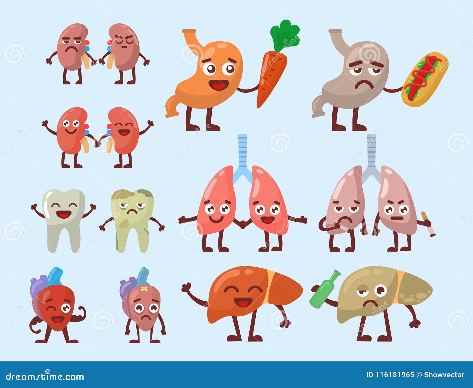 Los órganos Humanos Sanos Y El Personaje De Dibujos Animados Divertido Anatómico Malsano Empareja Vector Ilustración del Vector - Ilustración de enfermo, vejiga: 116181965 Los órganos Humanos Sanos Y El Personaje De Dibujos Animados Divertido Anatómico Malsano Empareja Vector Ilustración del Vector - Ilustración de enfermo, vejiga: 116181965