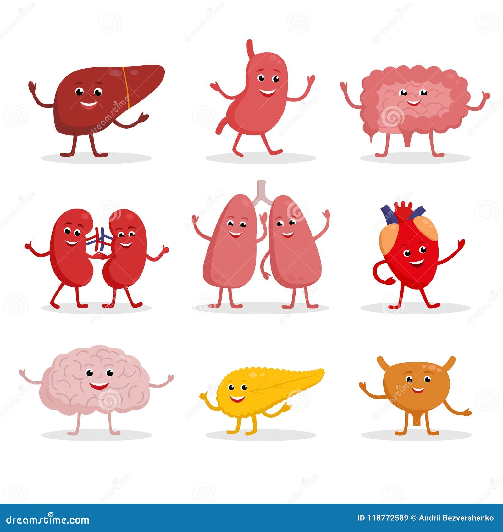 Los órganos Humanos Vector El Ejemplo De Los Personajes De Dibujos Animados En Diseño Plano Sistema Sano Sonriente Lindo Del Icon Ilustración del Vector - Ilustración de pulmones, vejiga: 118772589 Los órganos Humanos Vector El Ejemplo De Los Personajes De Dibujos Animados En Diseño Plano Sistema Sano Sonriente Lindo Del Icon Ilustración del Vector - Ilustración de pulmones, vejiga: 118772589