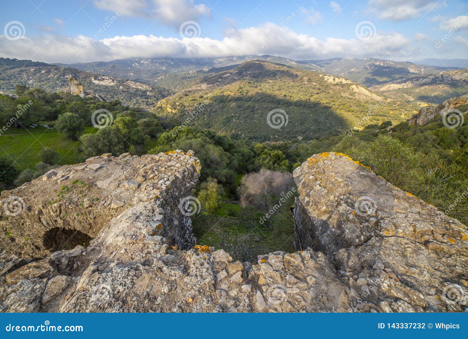krone Velkommen syre Los Alcornocales Nature Reserve, Cadiz, Spain Stock Photo - Image of  mediterranean, pipes: 143337232