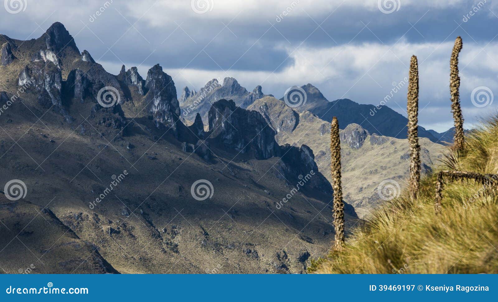 Los Andes. Parque Nacional De Cajas, Ecuador Imagen de archivo Imagen