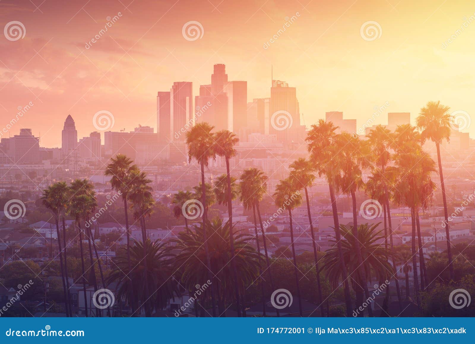 los angeles hot sunset view with palm tree and downtown in background. california, usa