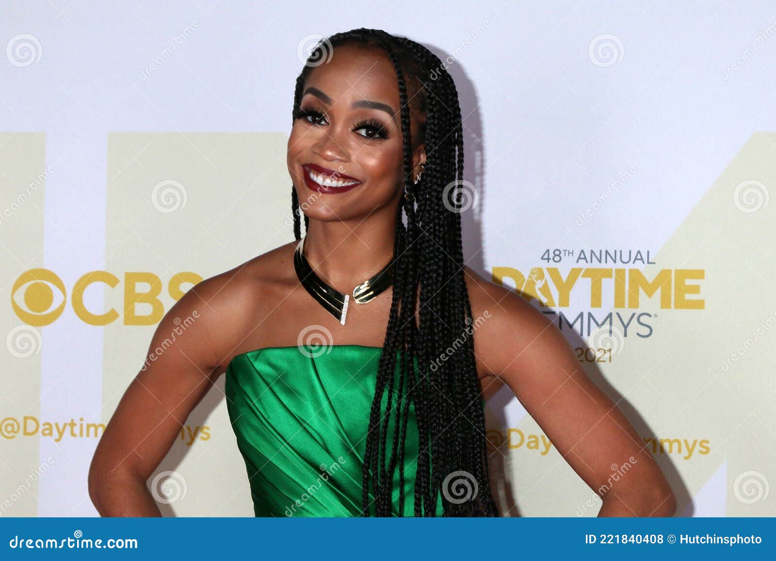 48th Daytime Emmy Awards Press Line - June 13 Editorial Stock Photo ...