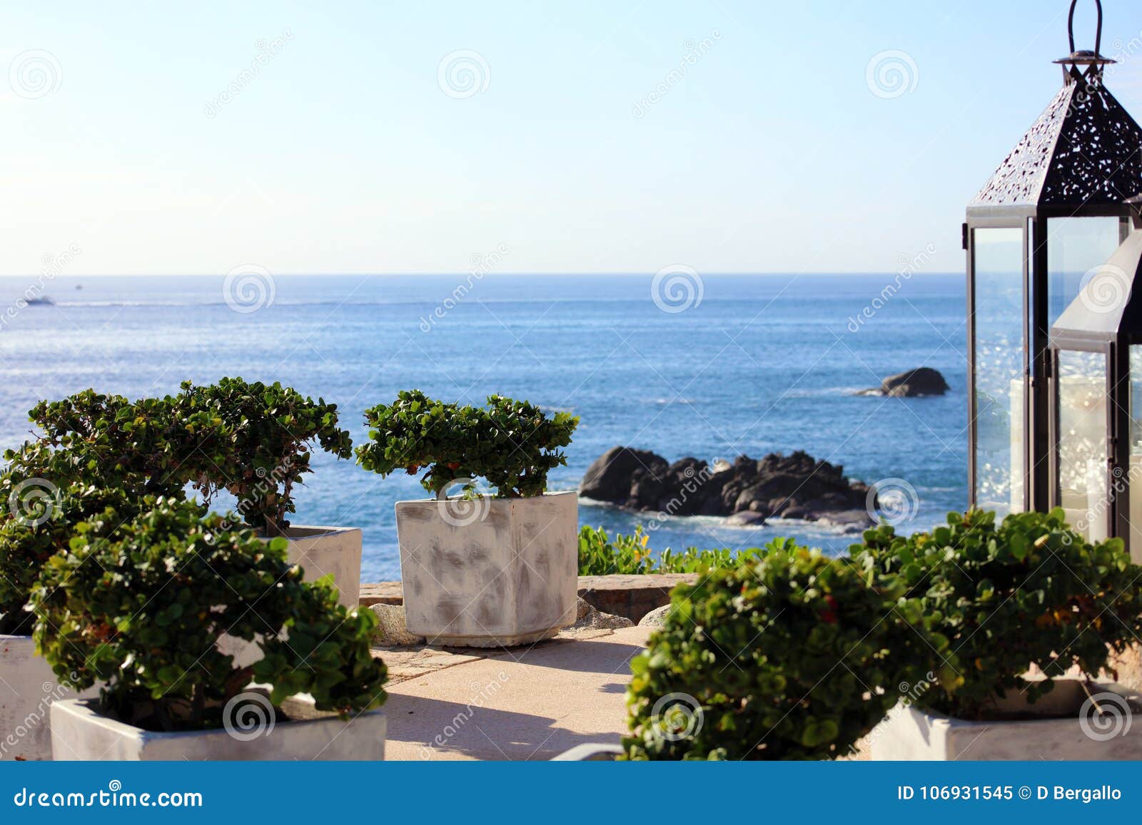 Los Cabos Mexico Cabo San Lucas Beach Resort 50 Megapixels Picture