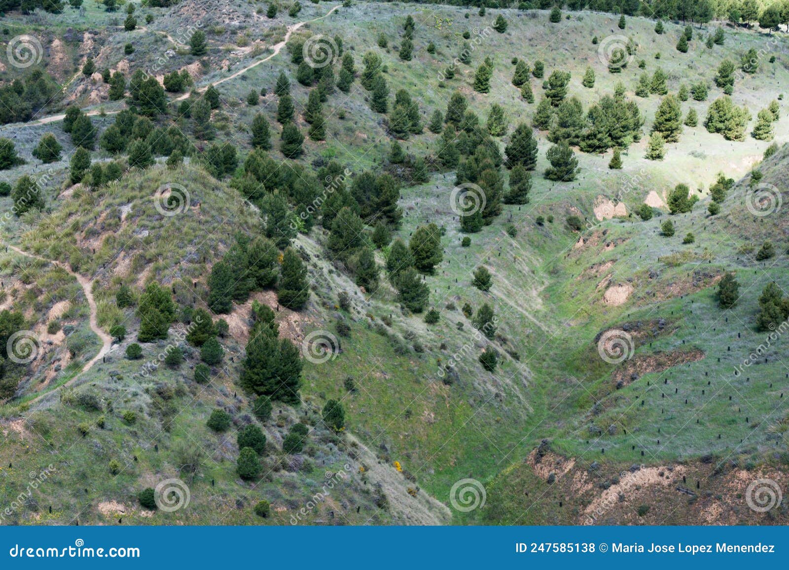 los cerros park in springtime. aerial view. alcala de henares, madrid