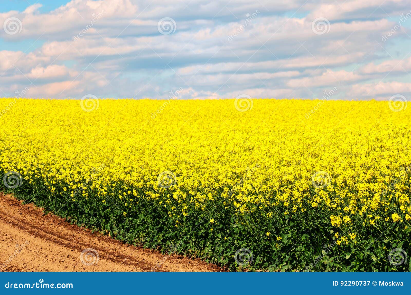 Los Colores De La Primavera Imagen de archivo Imagen de rural, cielo