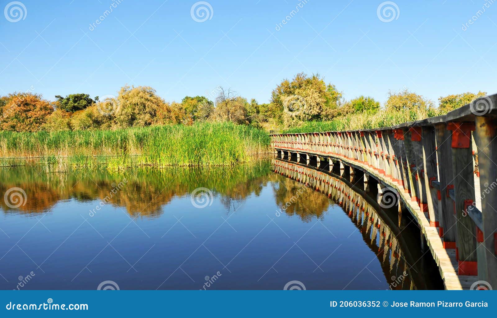 parque nacional de las tablas de daimiel, provincia de ciudad real, castilla la mancha, espaÃÂ±a