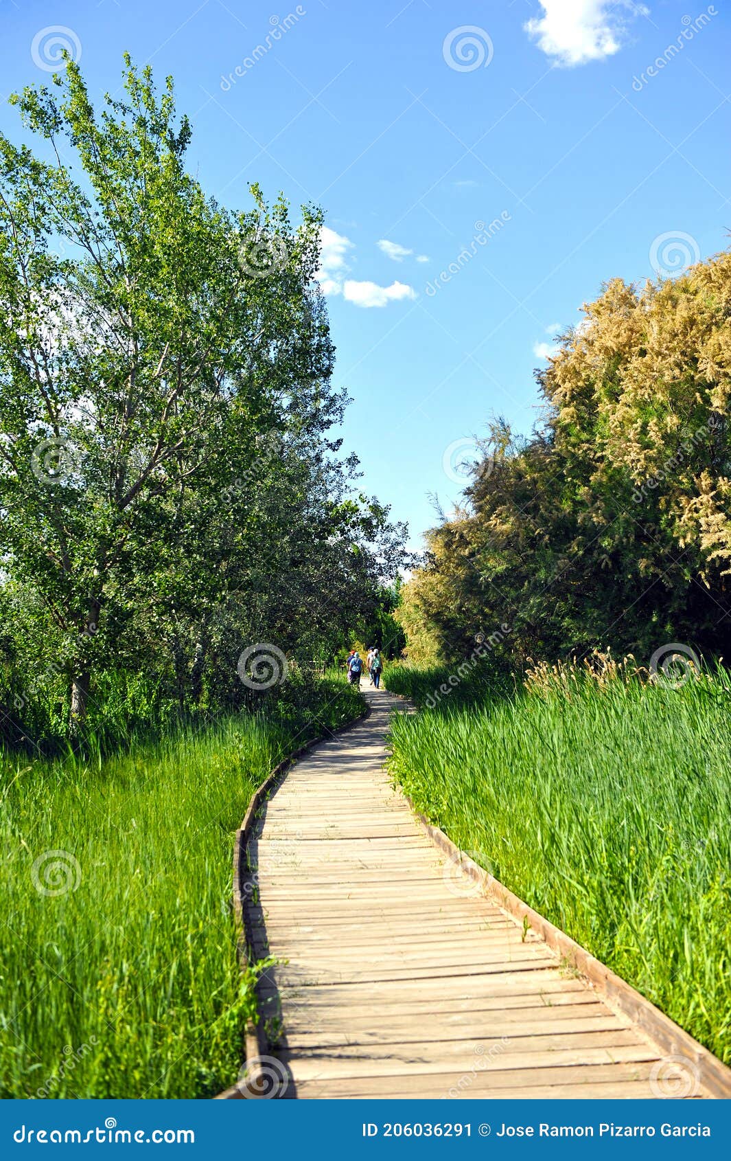 senderismo en el parque nacional de las tablas de daimiel, provincia de ciudad real, castilla la mancha, espaÃÂ±a