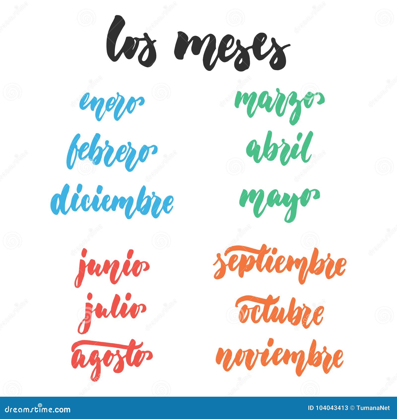 los meses - months in spanish, hand drawn latin lettering quote  on the white background. fun brush ink