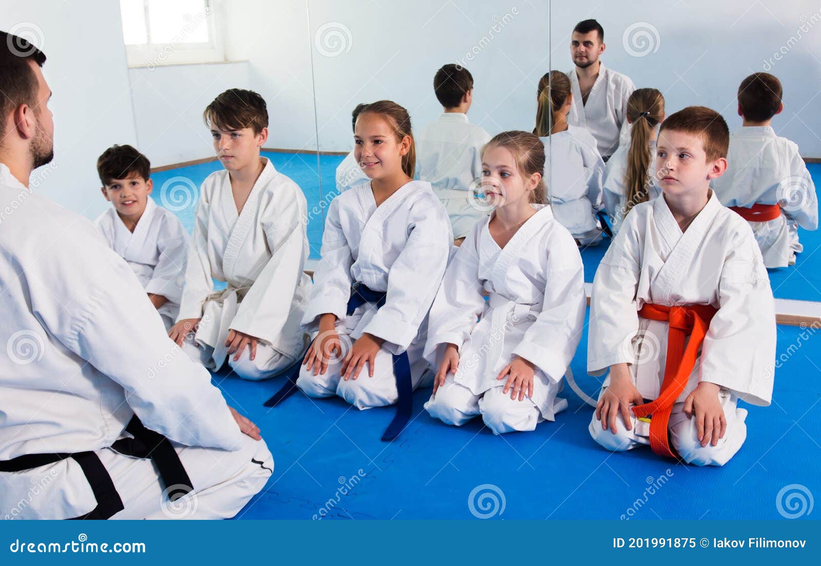 por no mencionar mosquito consenso Los Niños Pequeños En Clase De Karate Imagen de archivo - Imagen de  deportes, clase: 201991875