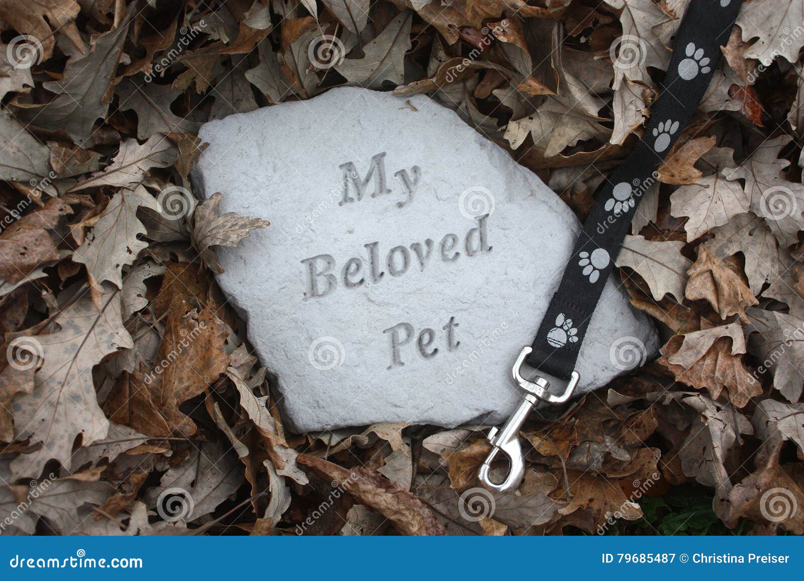 loss of a pet in fall