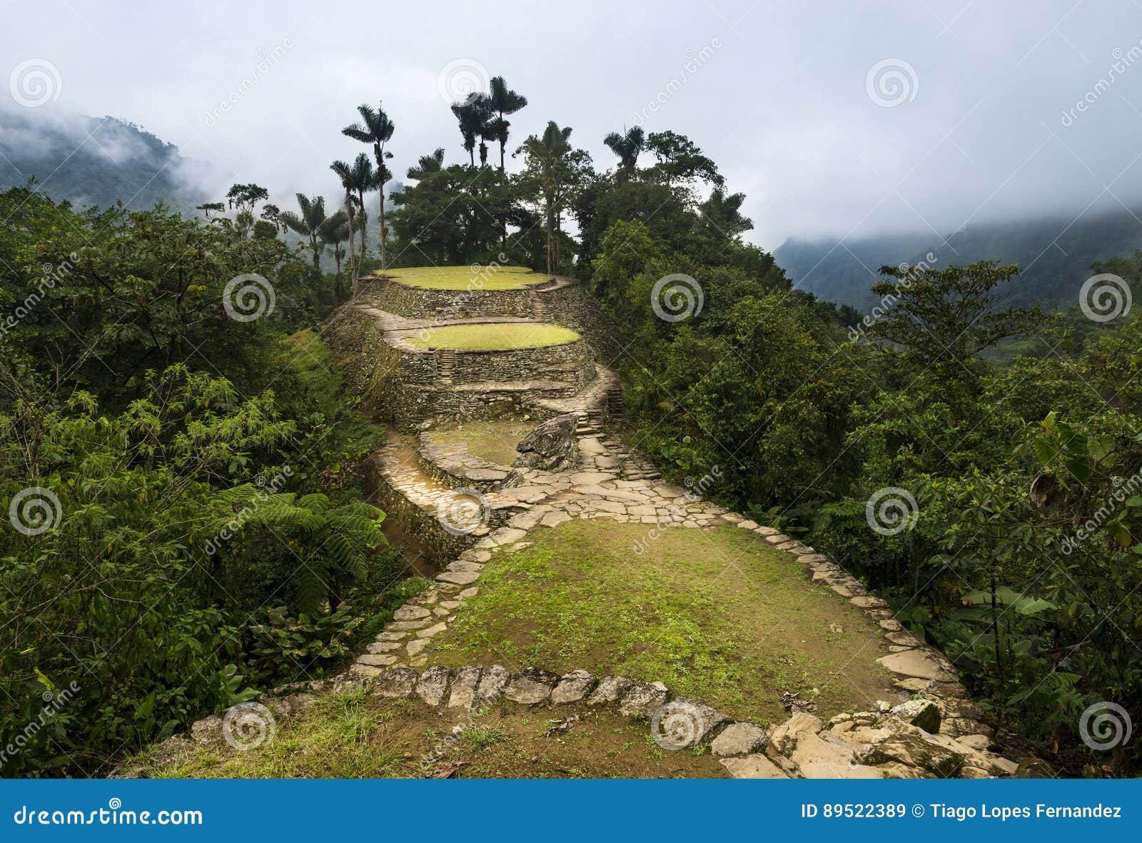 the lost city ciudad perdida ruins in the sierra nevada de santa marta