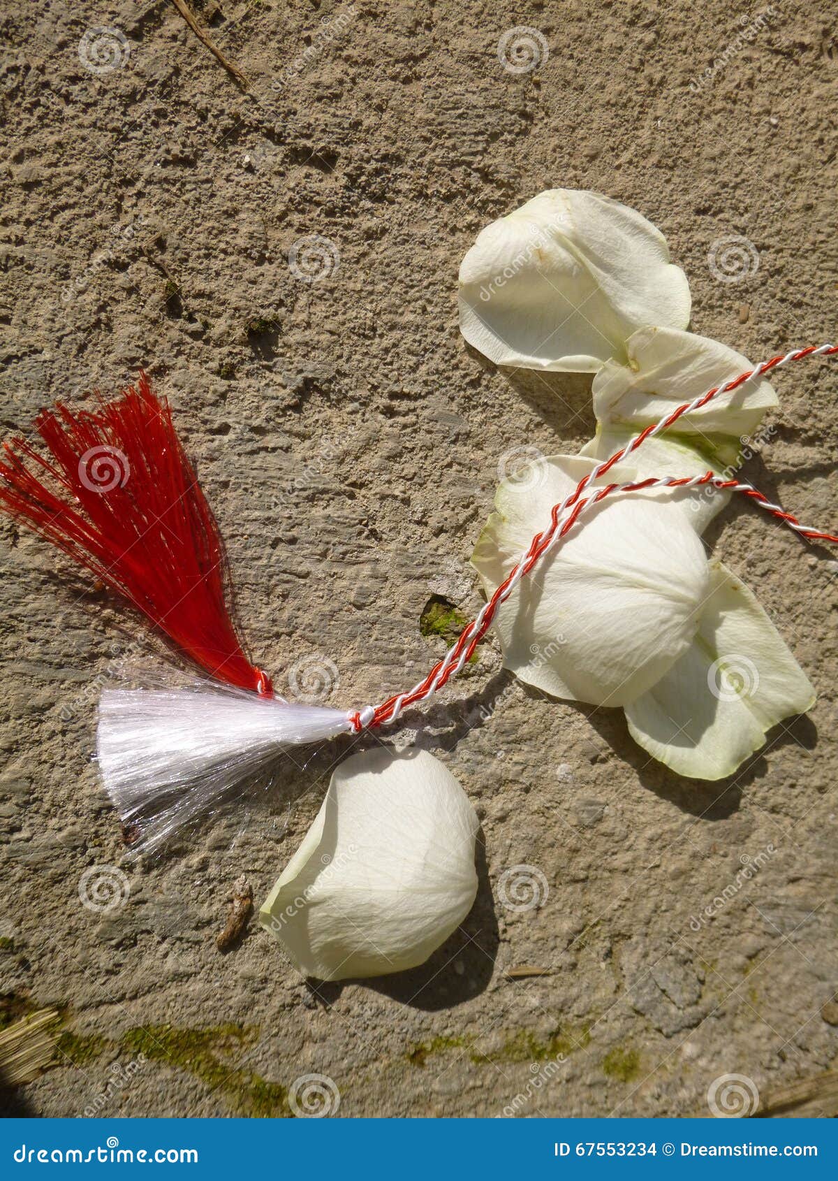 Lost petals stock photo. Image of happy, leaf, grey, march 67553234