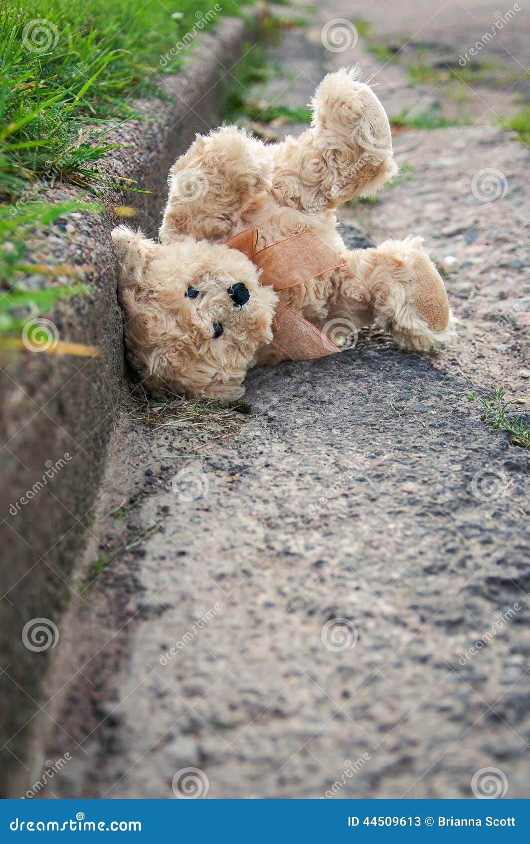 lost teddy bear