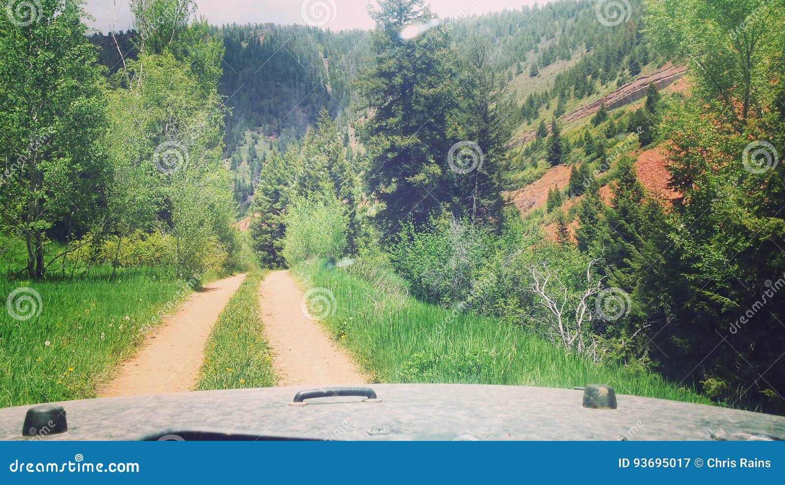 Escape to the Wild: Colorado's Lost Trail Campground - A Nature Lover's Paradise