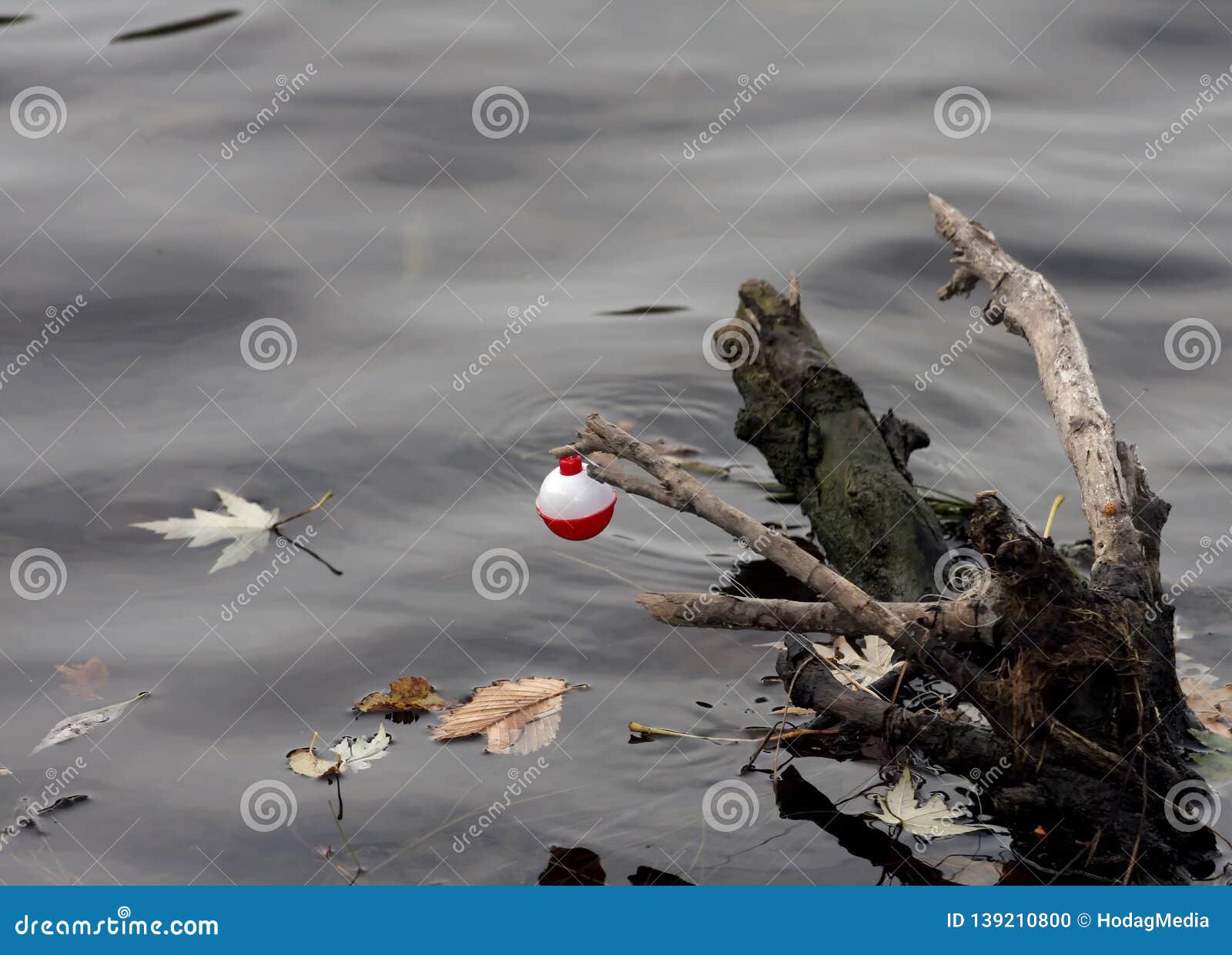 Bobber Stuck Stock Photos - Free & Royalty-Free Stock Photos from Dreamstime
