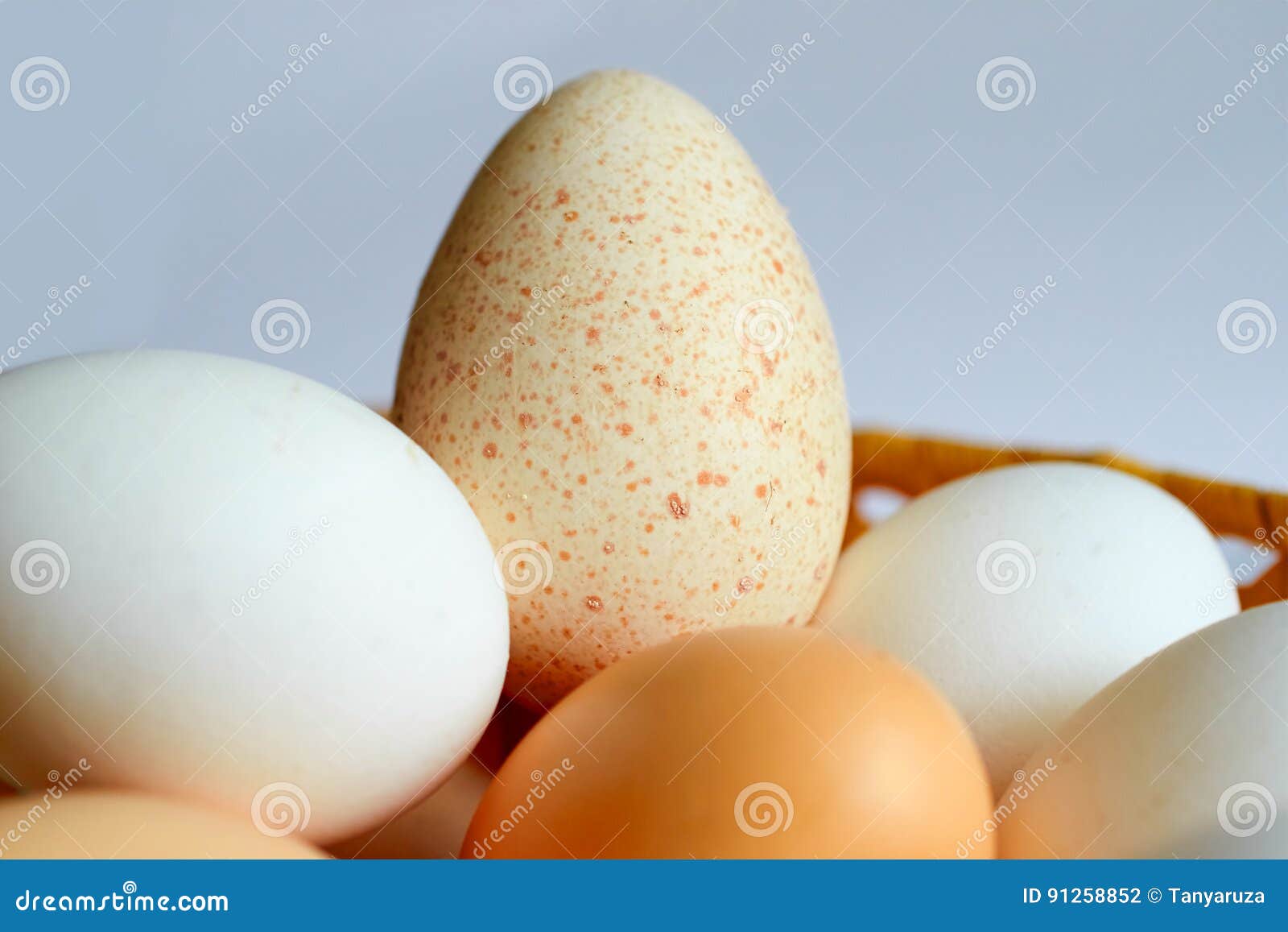 Lot of Chicken and Turkey Eggs are in One Basket Stock Photo Image of