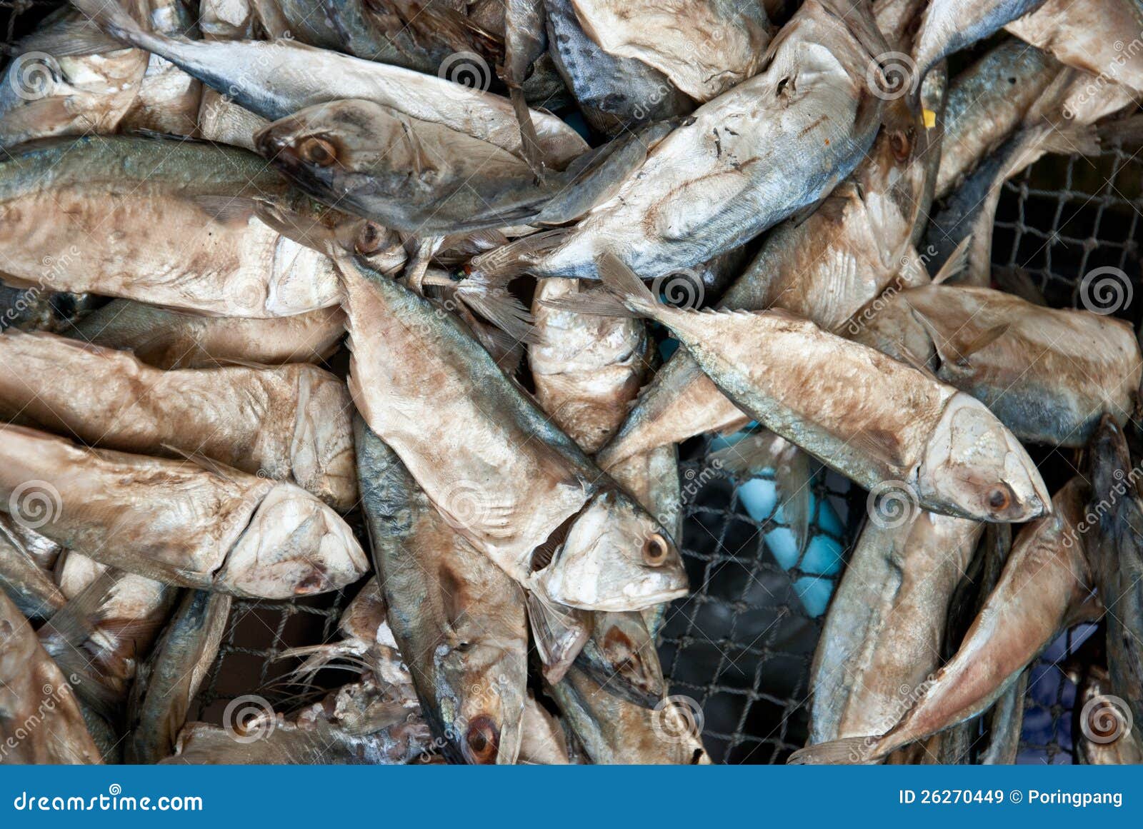 A Lot of Dried Mackerel on a Grid Stock Image Image of kitchen