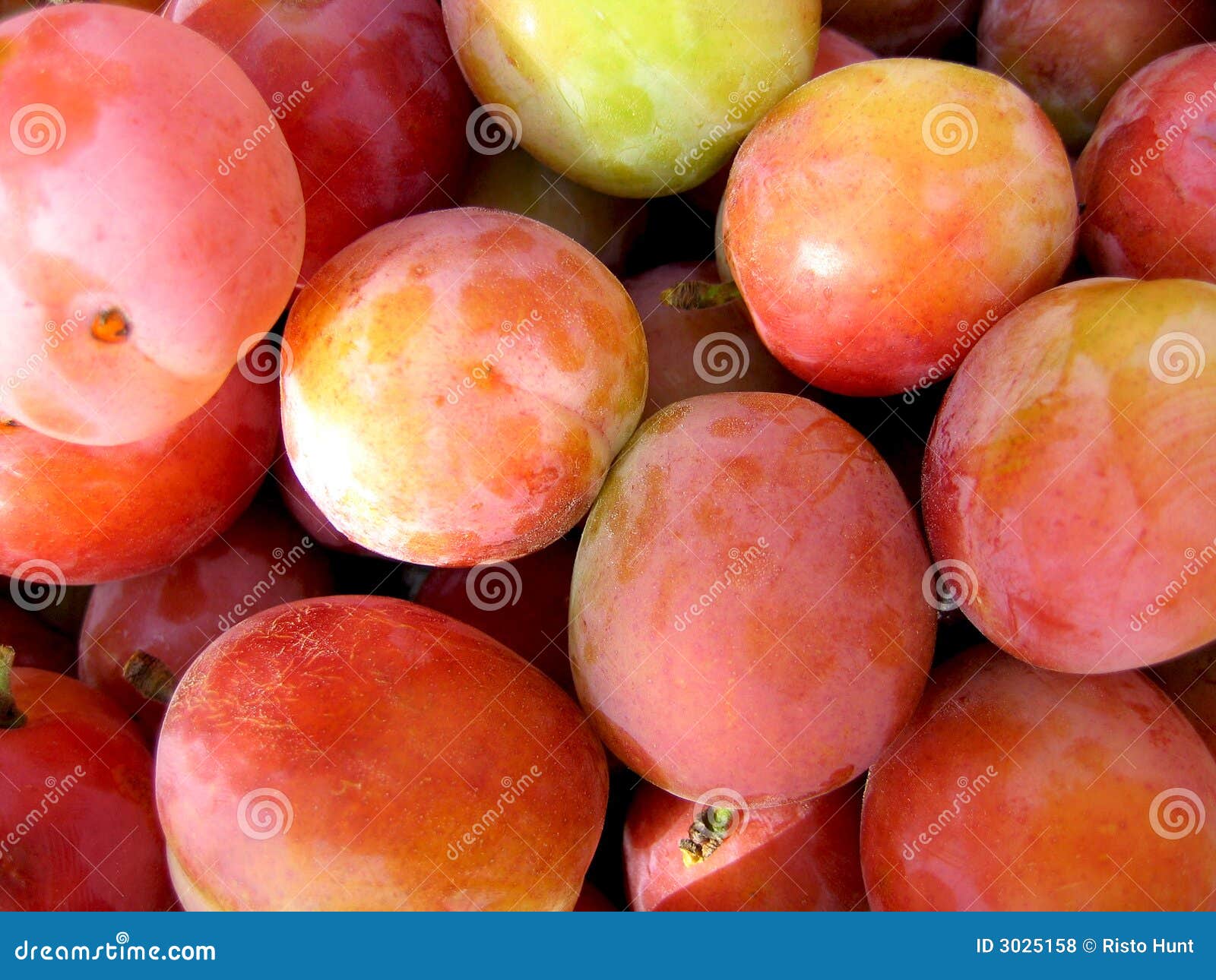 Lot of fresh plums stock photo. Image of object, ingredients 3025158