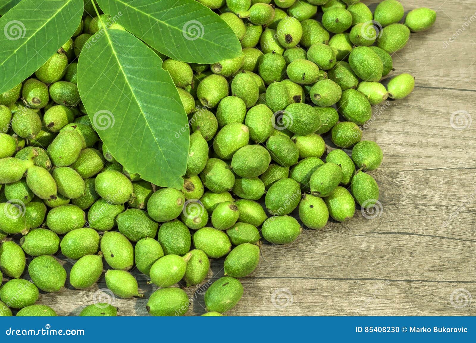 A Lot Green Young Walnuts in Husks on Kitchen Table with Green Leaves