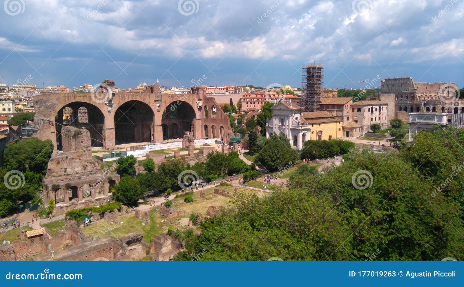 italy, rome, colosseum, rome forum, nature, freedom, history