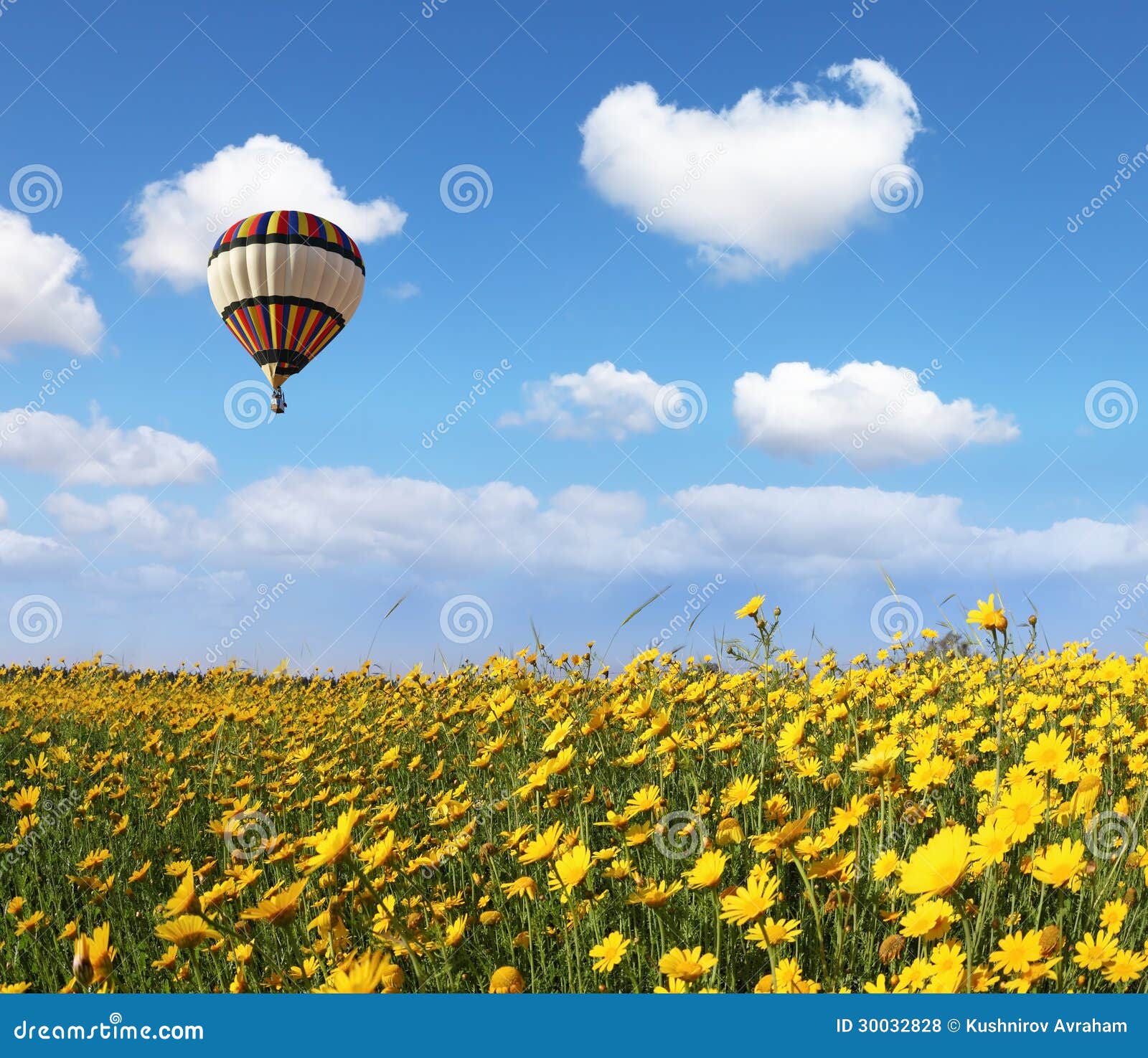 Over the Blossoming Field of Flying a Balloon Stock Photo - Image of ...