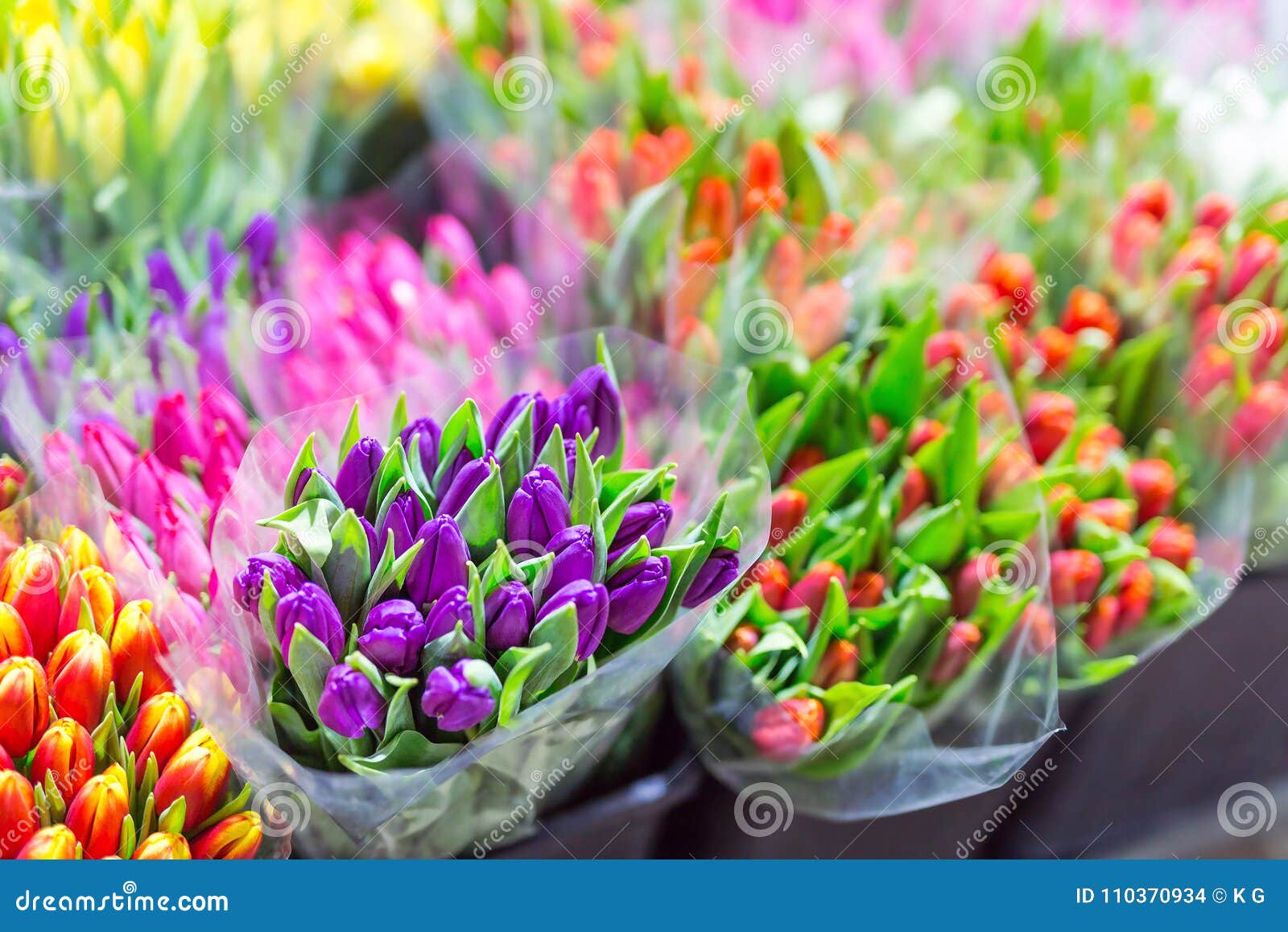 lot of multicolored tulips bouquets. flower market or store. wholesale and retail flower shop. florist service. woman day