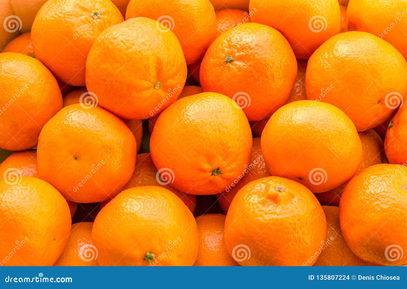 A Lot Of Oranges And Tangerines In A Nest Stock Photo Image Of