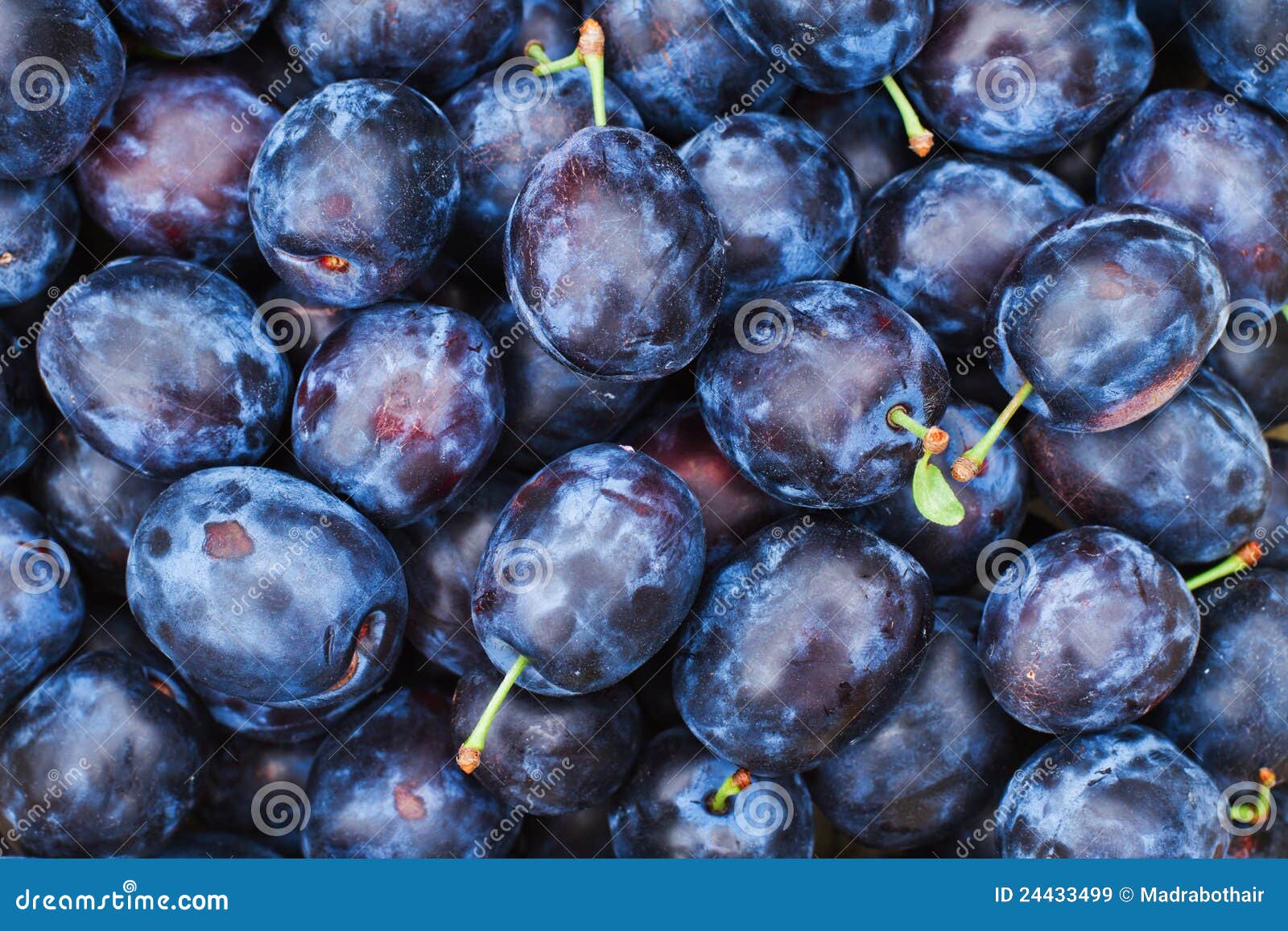Lot of plums stock image. Image of tasty, crop, blue 24433499